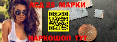 индика Моздок