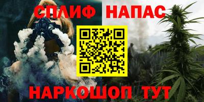 индика Моздок