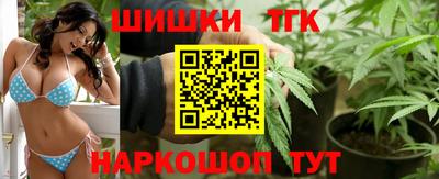 apvp Нальчик
