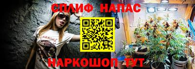прущие грибы Нарткала